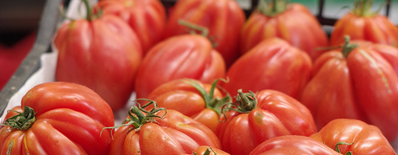 Lunario di luglio ’22: il pomodoro