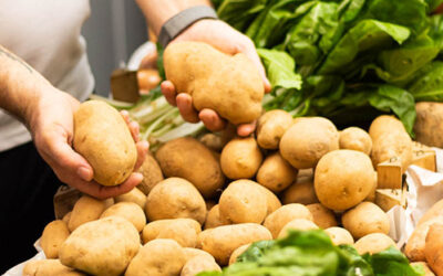 Lunario di novembre ”22: le patate