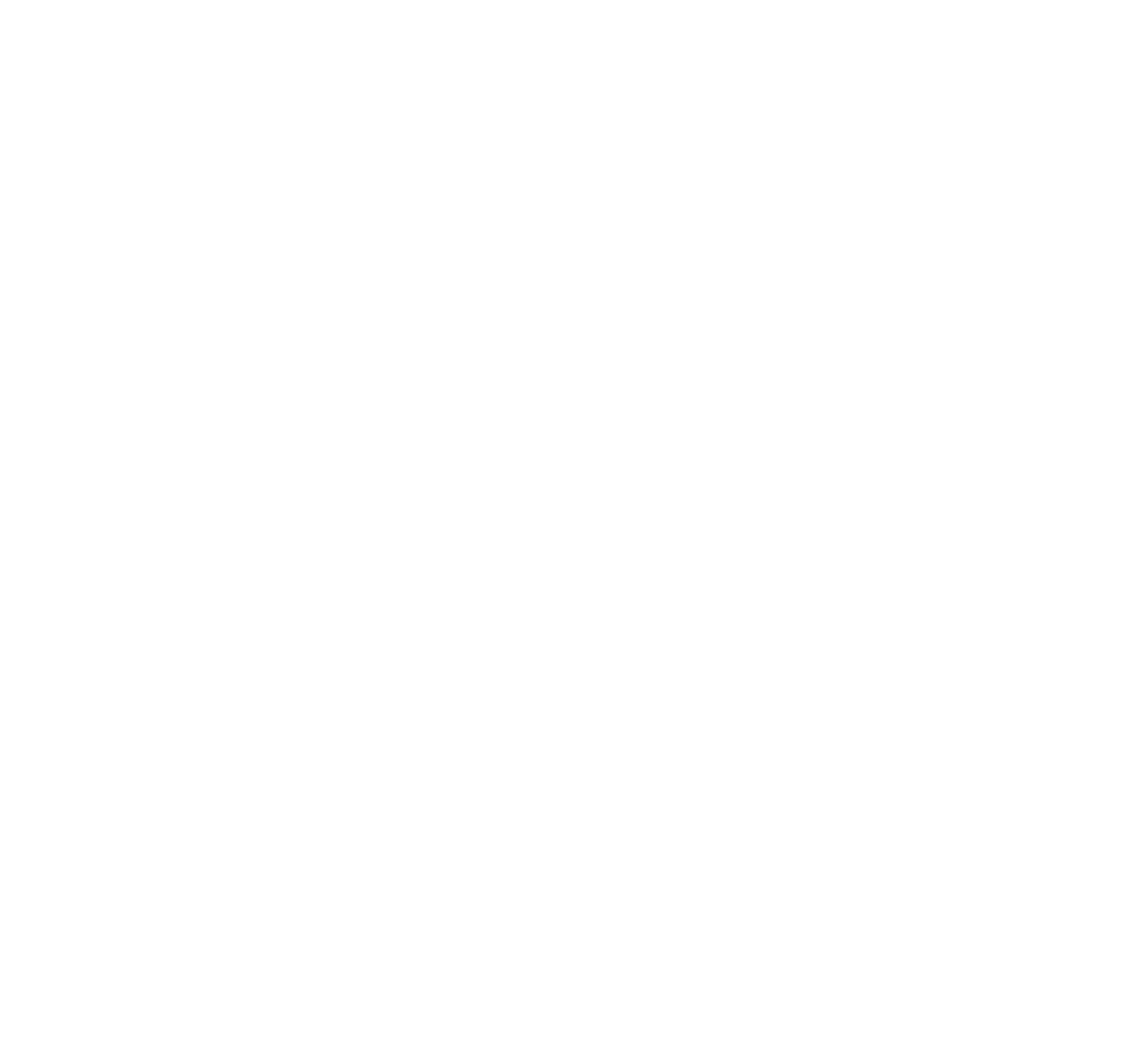 Logo EVISO 100RINNOVABILE bianco